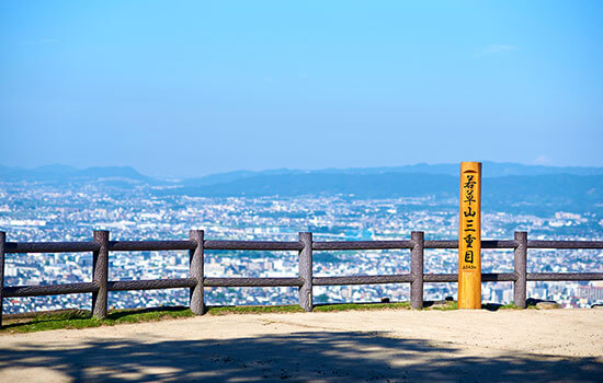 イメージ:春日山原始林ハイキング 早朝の若草山で森林浴コース